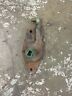 3925226 Cummins Engine Water Elbow Tubes