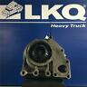 4089911nx 4920466 3102924 4089432 Cummins Oem Water Pump Signature