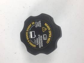 Wa195-0008 National Drivetrain Coolant Reservoir/surgetankcap Pre Oned Great Condition