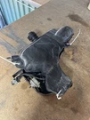 1983 Suzuki LT185 Oem Gas Tank With Cap/fuel Pump. Fixed Price $100.00.