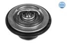 Meyle 028 271 0005 Thermostat, Coolant For Bmw. Fixed Price $20.41.