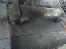 Replaces Cat Engine Oil Cooler , Or. Fixed Price $257.25.