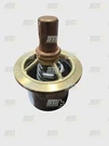 3690535 Cummins Thermostat. Fixed Price $135.00.