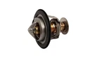 131-204 (19435095) Engine Coolant Thermostat. Fixed Price $40.66.
