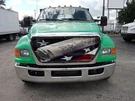 Ford F-650 & F-750 2000-2015 Premium Bugscreen "we The People" Usa Flag 2127. Fixed Price $150.00.
