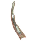 New Genuine Doosan DS2038199 Hose Fast Shipping. Fixed Price $79.89.