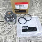 Oem Thermostat For Cummins Isc. 3940632 5284903 5269131. Fixed Price $29.89.