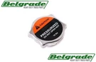 572.2024 Radiator Cap 10LB Replaces 1117974 AAX0615 6815010015 130704C1. Fixed Price $15.50.