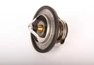 Genuine Gm Thermostat 91176905. Fixed Price $11.88.