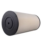 Air Cleaner Assembly AF25248 For Western Star 4900EX Detroit Diesel Truck. Fixed Price $74.54.