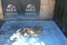 Cummins 855 Engine Timing Cover P/n: 3048033. Fixed Price $300.00.