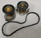Genuine International Thermostat Kit # 1899571C91. Fixed Price $170.00.