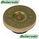Mack Heavy Duty Fluid Reservoir Cap Replaces: 5481-9916238, 16MF264, 25005579. Fixed Price $17.99.