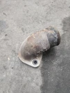 1974 Cummins NT855 Engine Water Elbow & Tubes 137114 (592-10946). Fixed Price $94.50.