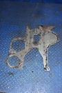 Mack MP8 Timing Gear Cover Plate P/n: 21892734. Fixed Price $330.00.