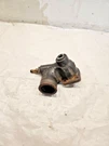 2016 Cummins Isb Qsb 6.7 Water Inlet Connection 5260979 Oem. Fixed Price $48.40.