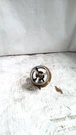 1662019C1 Thermostat 185 Degree 1662642C91. Fixed Price $100.00.