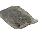 Genuine International 3589278C3 Coolant Reservoir Cap 16 Psi. Fixed Price $9.95.